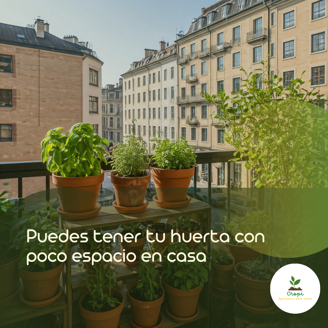 huerta en un balcón