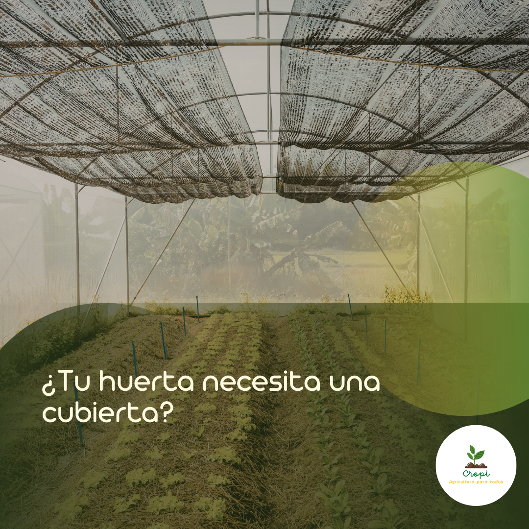 Cultivo con polisombra