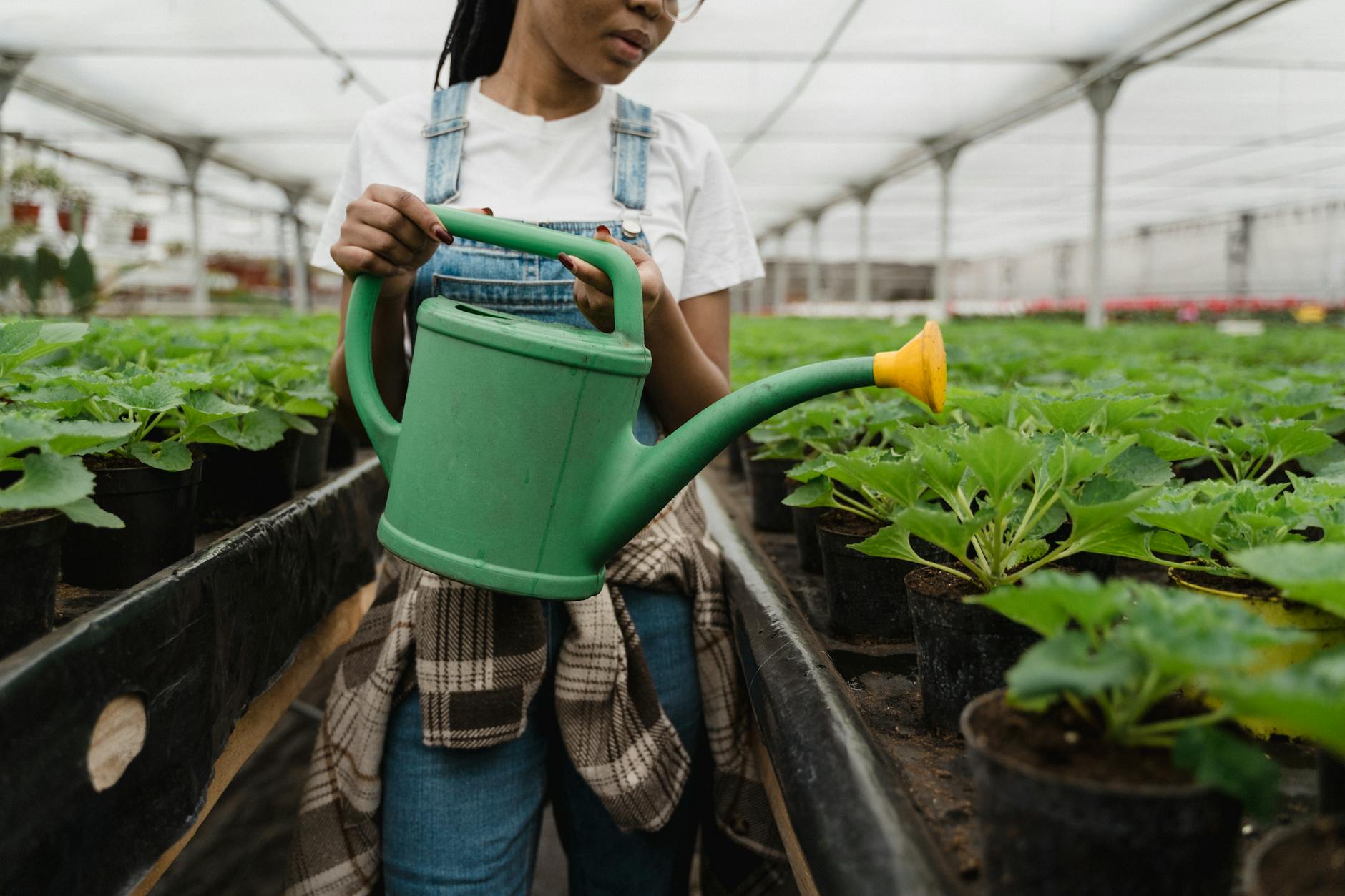 a girl watering the plants