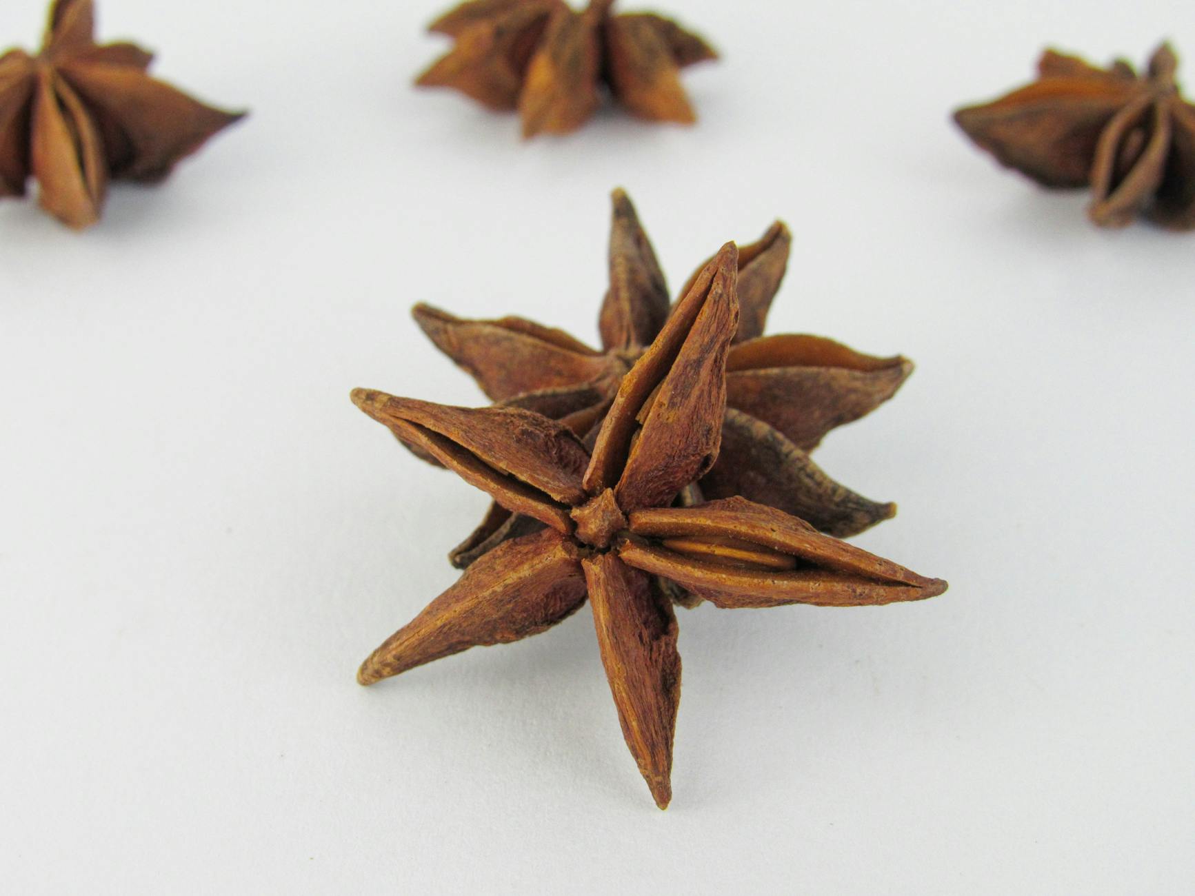 close up shot of star anise