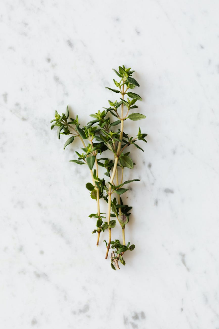 thyme on a marble surface