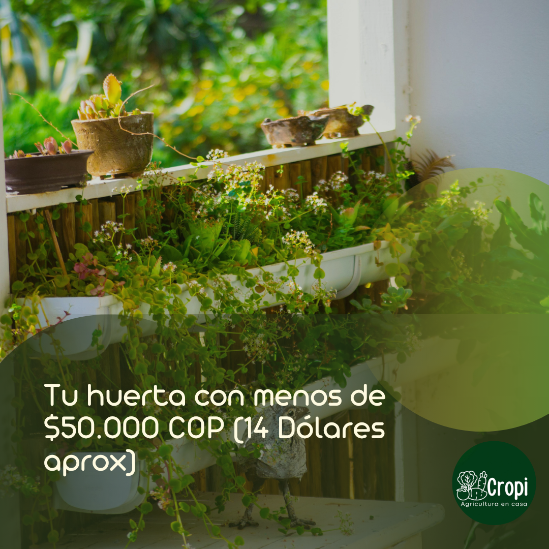 huerta en casa