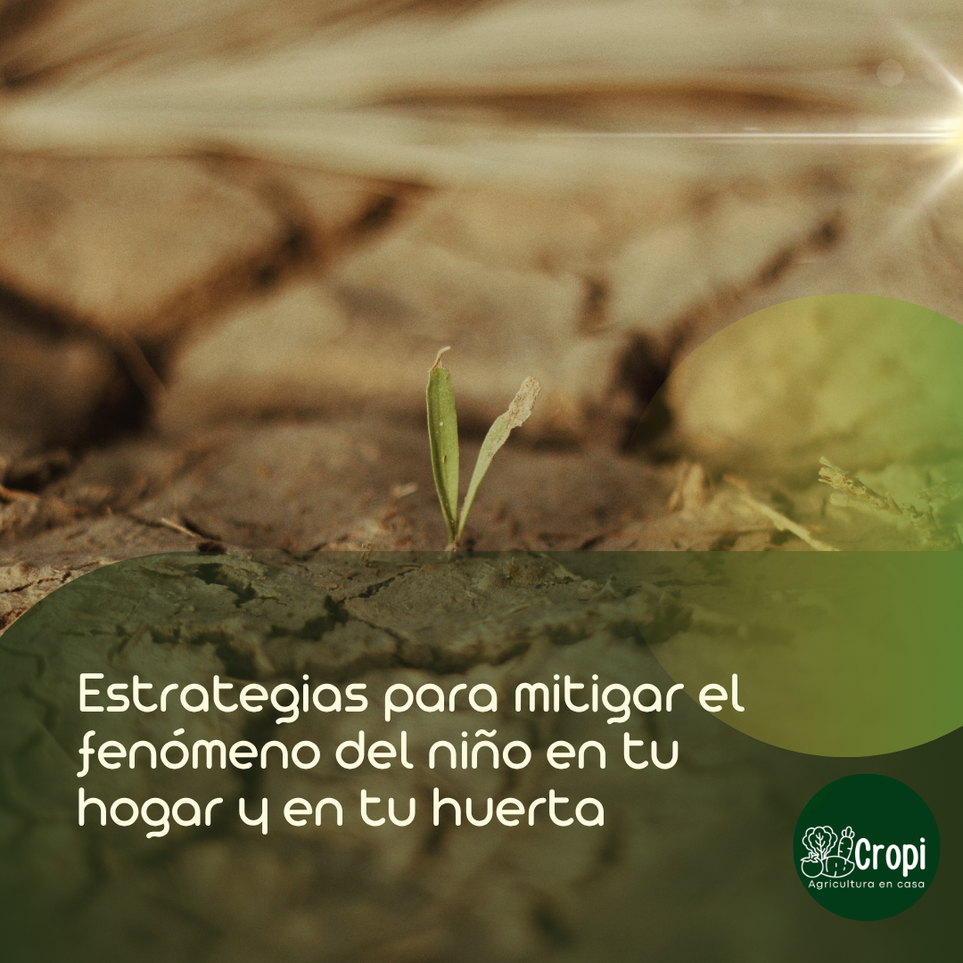 fenómeno del niño